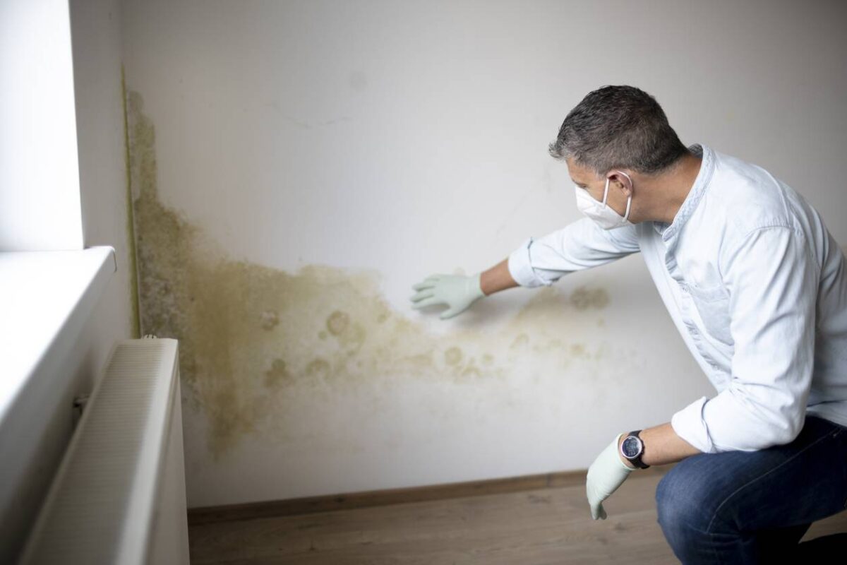 Expert en traitement de l'humidité