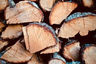 Cheminée en bois créant une ambiance chaleureuse dans un salon