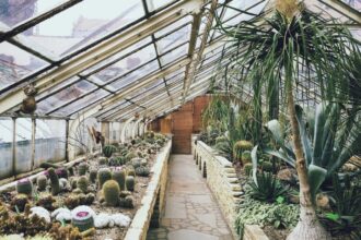 Serre en polycarbonate dans un jardin en pleine croissance