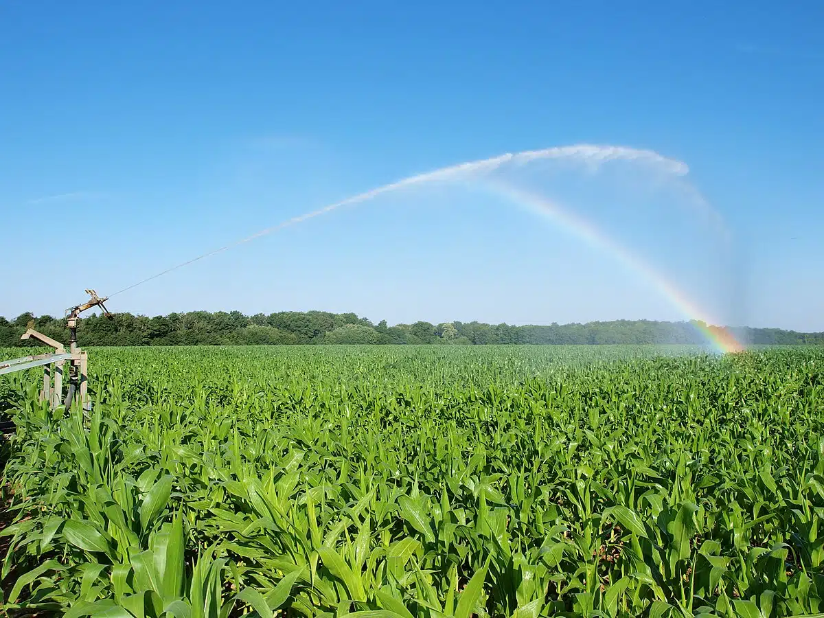 Comment choisir le bon matériel pour un système d'irrigation efficace 1