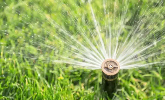 Comment choisir le bon matériel pour un système d'irrigation efficace