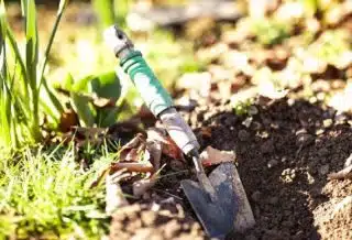 Comment entretenir préparer son jardin pour l'été