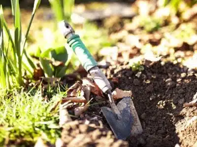 Comment entretenir préparer son jardin pour l'été