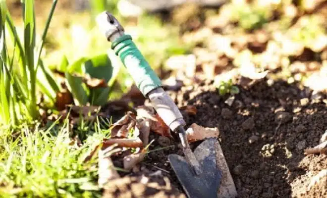 Comment entretenir préparer son jardin pour l'été