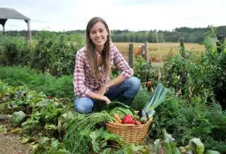 Découvrez les légumes à planter dès maintenant pour un jardin productif en hiver