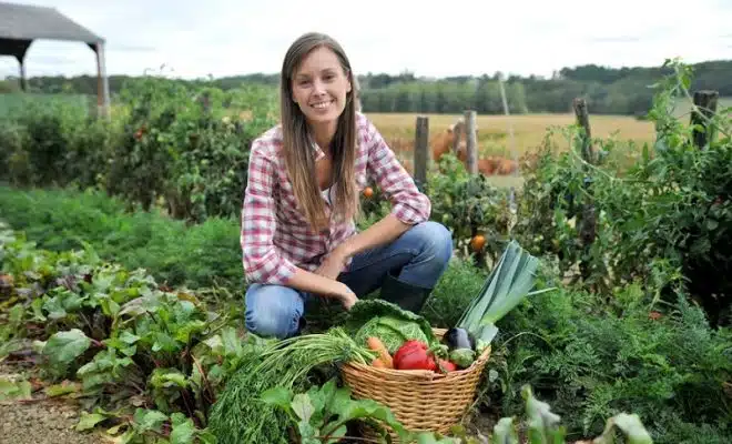 Découvrez les légumes à planter dès maintenant pour un jardin productif en hiver