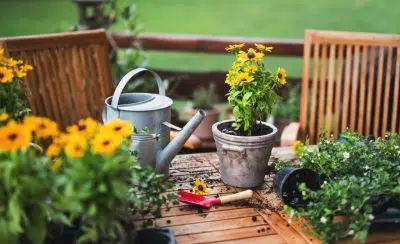 Faire du jardinage