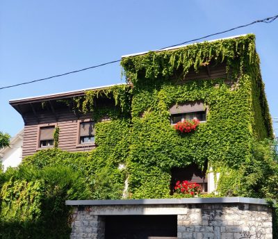 Maison écologique