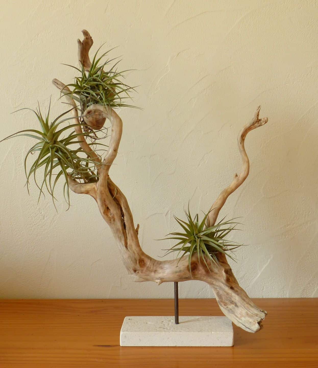 bois floté