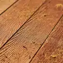 Installation d'un parquet en bois massif : quel type de vis utiliser idéalement ?