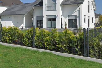 Haie de jardin avec différents types d'arbustes colorés