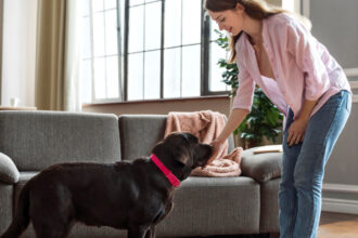 Le home sitting : la nouvelle façon de faire garder sa maison et ses animaux en toute sérénité