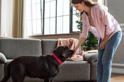 Le home sitting : la nouvelle façon de faire garder sa maison et ses animaux en toute sérénité