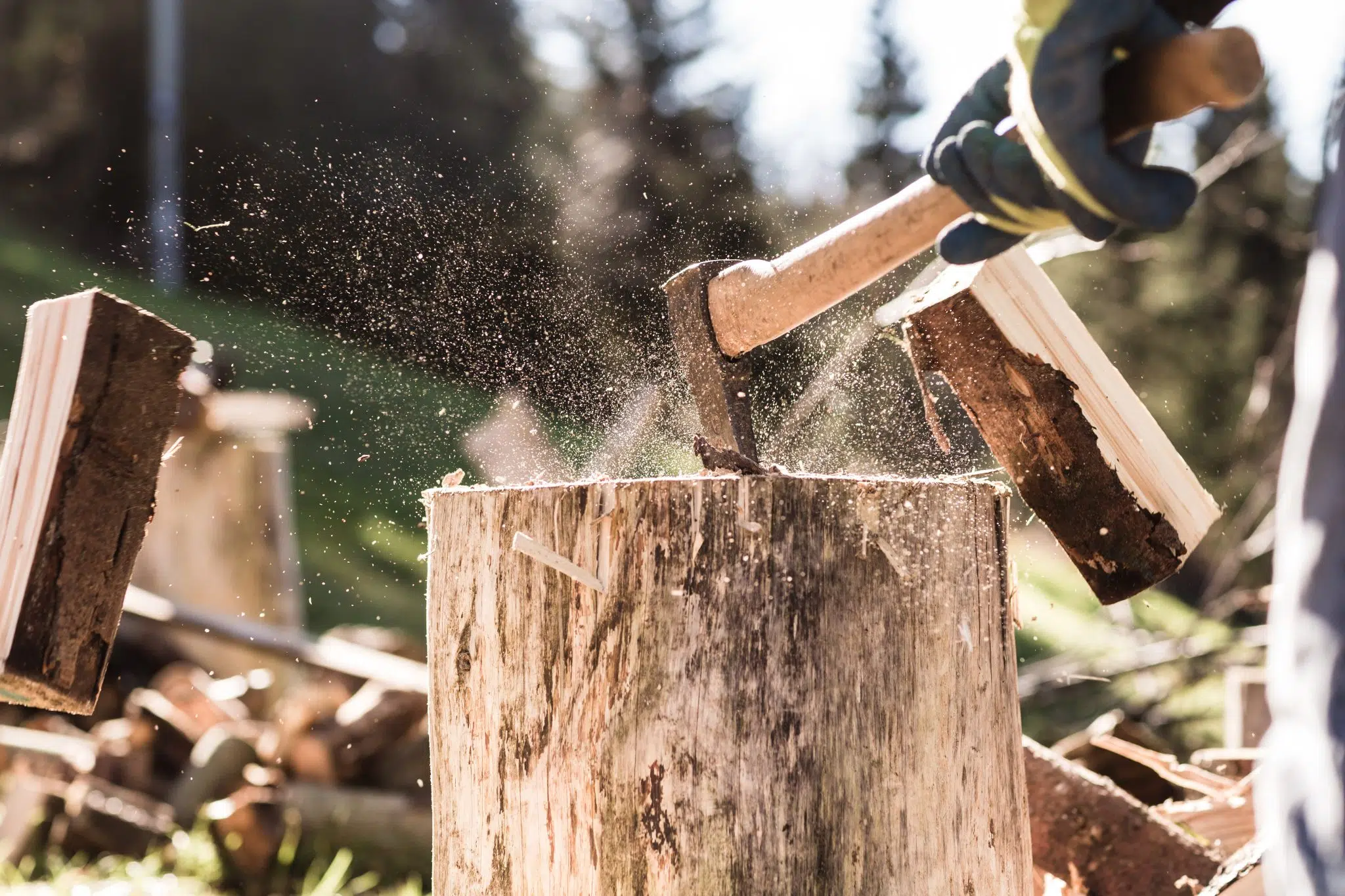 le rangement de son bois à des spécialistes les avantages