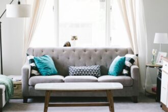 salon lumineux et aéré avec plantes d'intérieur décoratives