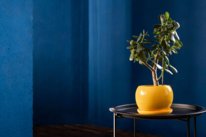 Oser la couleur dans un intérieur contemporain : conseils pour intégrer des teintes audacieuses