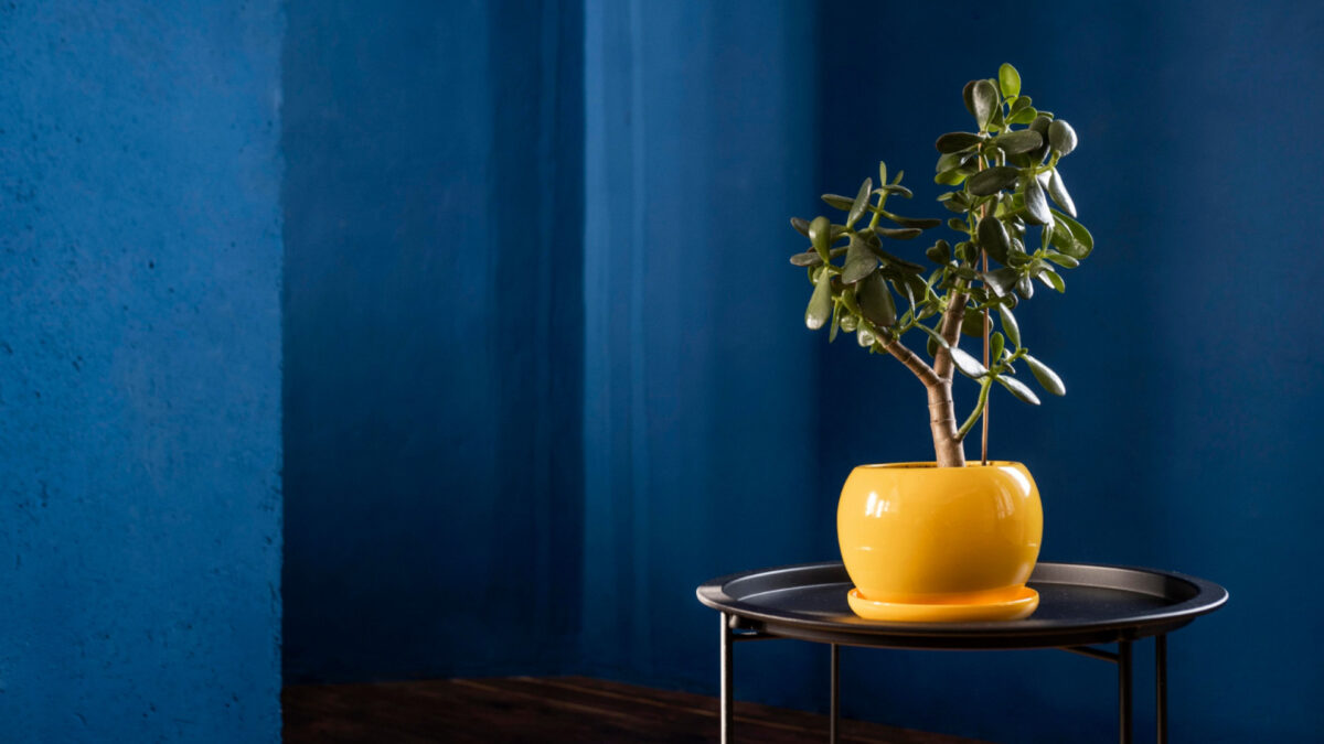 Oser la couleur dans un intérieur contemporain : conseils pour intégrer des teintes audacieuses