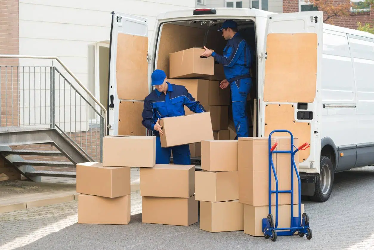 société stockage déménagement