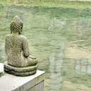 Transformez votre extérieur avec un espace zen