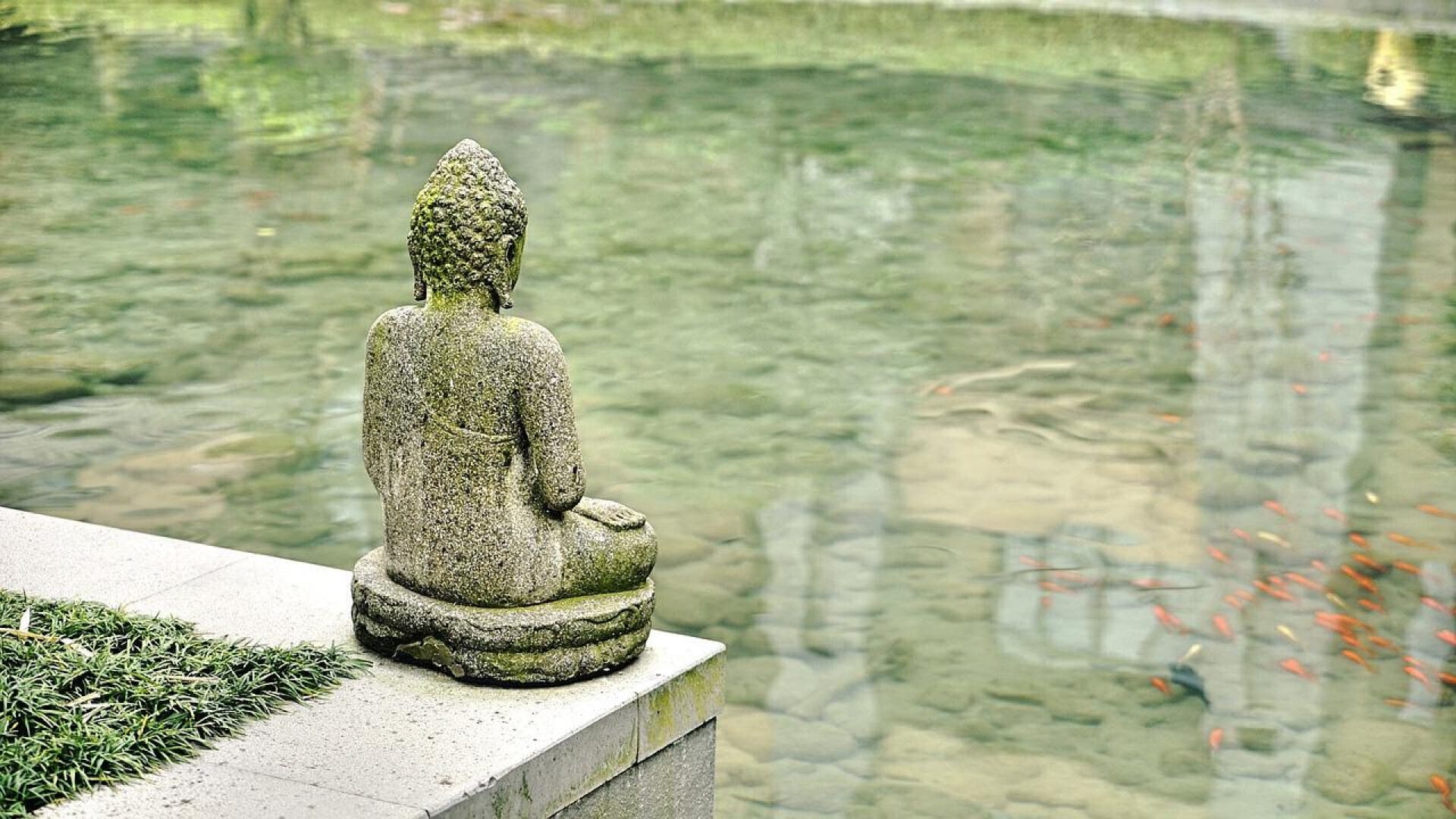 Transformez votre extérieur avec un espace zen